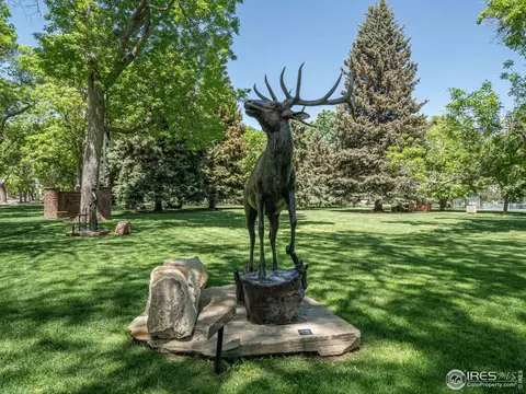 230 N 2 St #LOT 31, Berthoud, CO 80513 photo 35