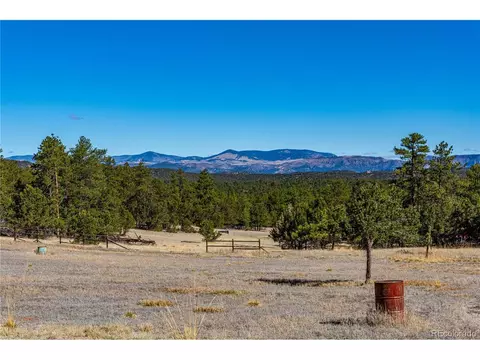 987 14th Trl, Cotopaxi, CO 81223 photo 41