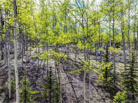 57 Grebe Ln, Como, CO 80432 photo 6