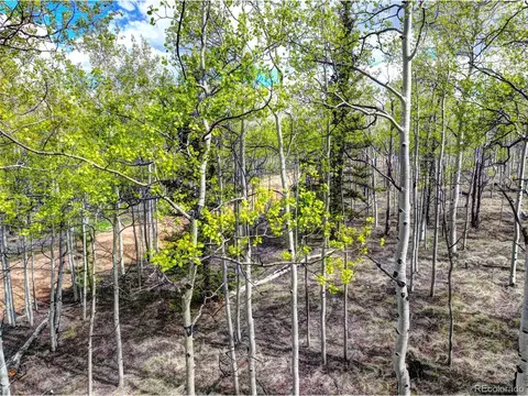 57 Grebe Ln, Como, CO 80432 photo 12