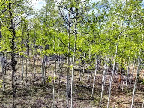 57 Grebe Ln, Como, CO 80432 photo 9