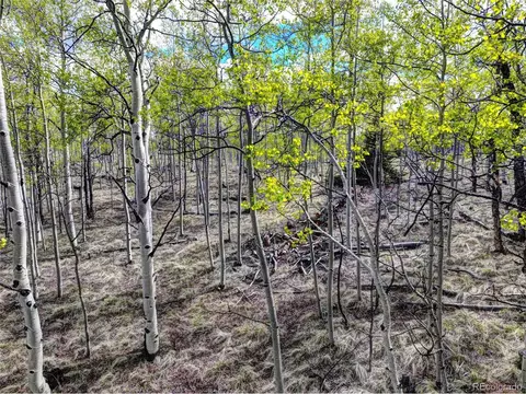 57 Grebe Ln, Como, CO 80432 photo 11
