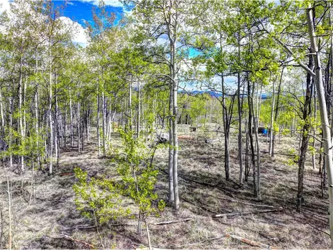 57 Grebe Ln, Como, CO 80432 photo 14