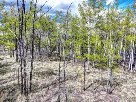 57 Grebe Ln, Como, CO 80432 photo 15