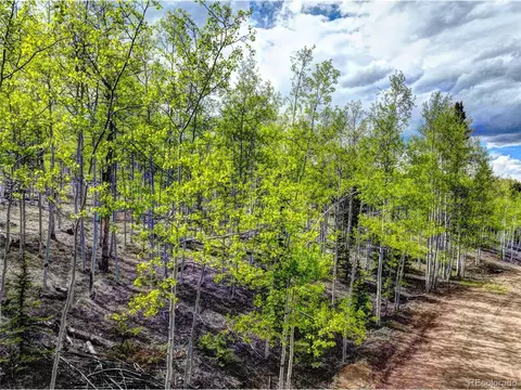 57 Grebe Ln, Como, CO 80432 photo 5