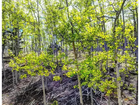 57 Grebe Ln, Como, CO 80432 photo 7