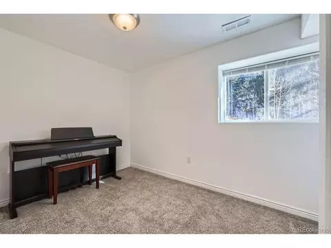 17618 Co-67, Divide, CO 80814 photo 17