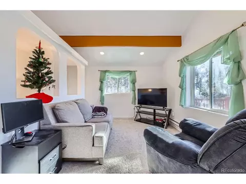 17618 Co-67, Divide, CO 80814 photo 8
