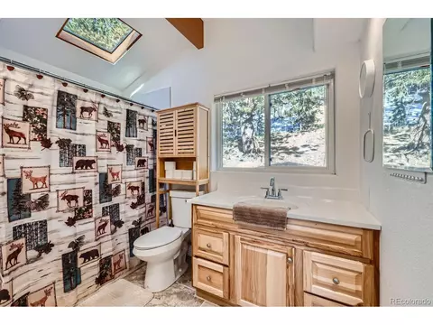 17618 Co-67, Divide, CO 80814 photo 15