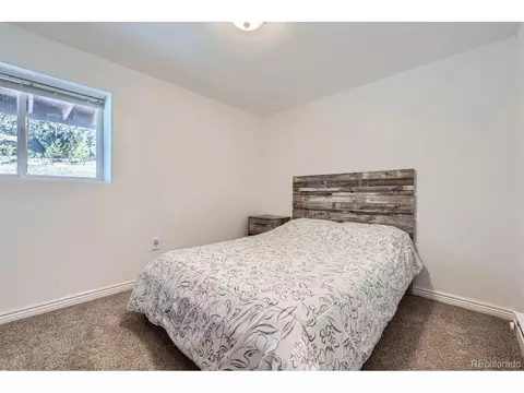 17618 Co-67, Divide, CO 80814 photo 20