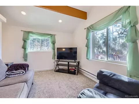 17618 Co-67, Divide, CO 80814 photo 5