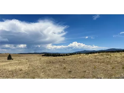 2010 Wild Bill Blvd, Westcliffe, CO 81252