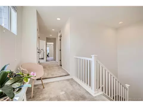 9439 E 58th Pl, Denver, CO 80238 photo 19
