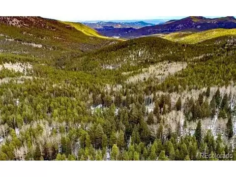 17 Long Rd, Idaho Springs, CO 80452