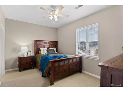 8487 Rogers Loop, Arvada, CO 80007 photo 30