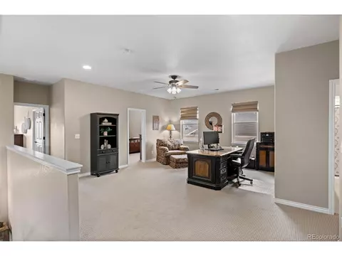 8487 Rogers Loop, Arvada, CO 80007 photo 24