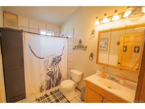 171 Antelope Way, Como, CO 80432 photo 14