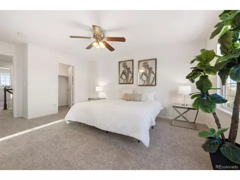 19153 E 39th Pl, Denver, CO 80249 photo 19