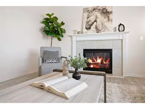 19153 E 39th Pl, Denver, CO 80249 photo 10