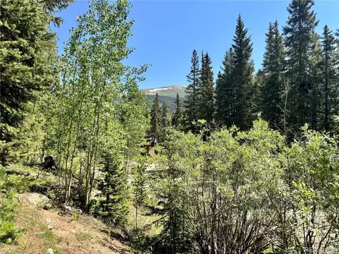 751 Peterson Dr, Alma, CO 80420