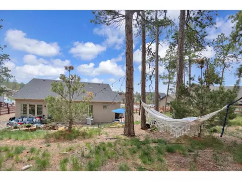 16372 Shadow Cat Pl, Monument, CO 80132 photo 33