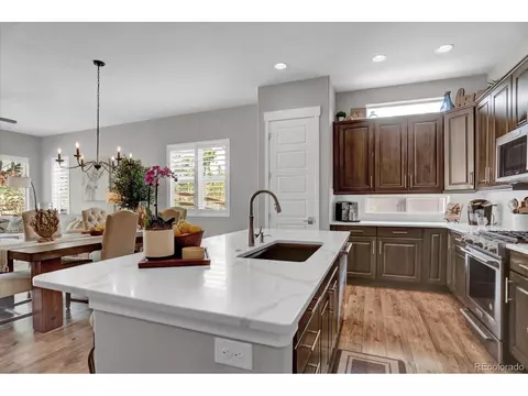 16372 Shadow Cat Pl, Monument, CO 80132 photo 10