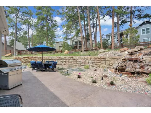 16372 Shadow Cat Pl, Monument, CO 80132 photo 29
