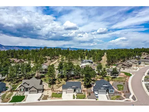 16372 Shadow Cat Pl, Monument, CO 80132 photo 38