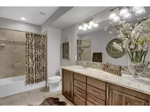 16372 Shadow Cat Pl, Monument, CO 80132 photo 28