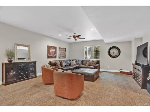 16372 Shadow Cat Pl, Monument, CO 80132 photo 22