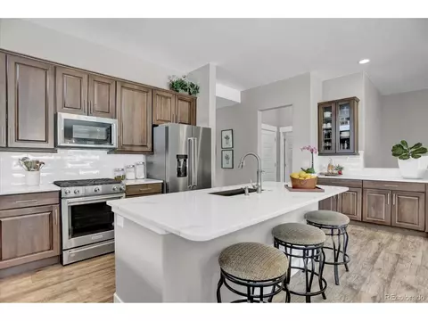 16372 Shadow Cat Pl, Monument, CO 80132 photo 11