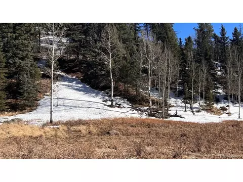 506 Arrowhead Rd, Florissant, CO 80816