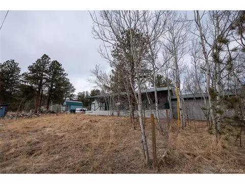 122 Neal Rd, Bailey, CO 80421 photo 19