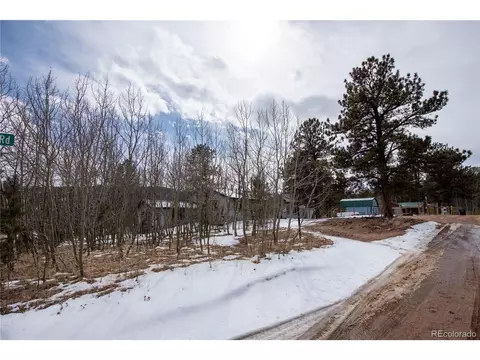 122 Neal Rd, Bailey, CO 80421 photo 25