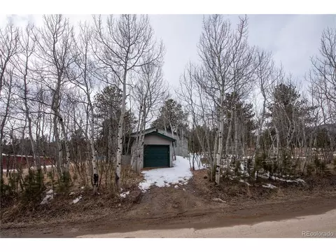 122 Neal Rd, Bailey, CO 80421 photo 22