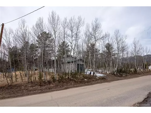 122 Neal Rd, Bailey, CO 80421 photo 21