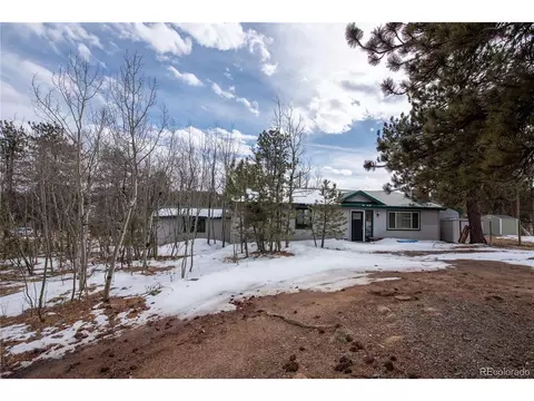 122 Neal Rd, Bailey, CO 80421 photo 4