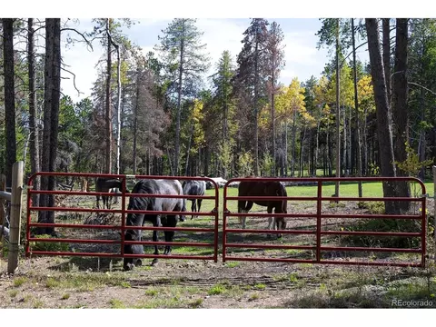 Other - 11800 S Ridge Rd, Conifer, CO 80433 photo 9 of 14