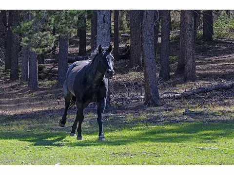 Other - 11800 S Ridge Rd, Conifer, CO 80433 photo 8 of 14