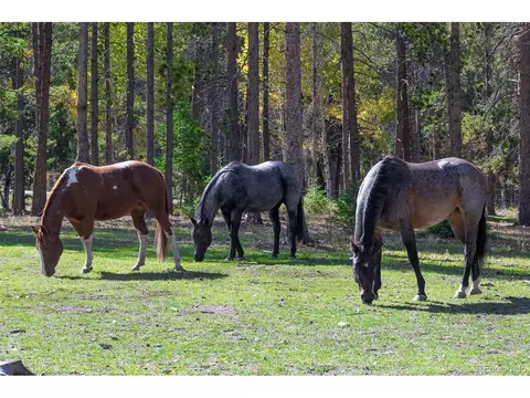 Other - 11800 S Ridge Rd, Conifer, CO 80433 photo 1 of 14