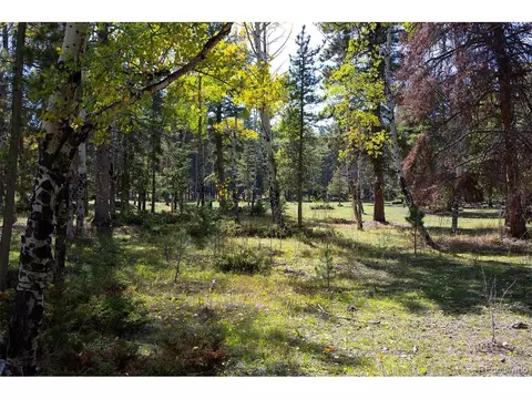 Other - 11800 S Ridge Rd, Conifer, CO 80433 photo 12 of 14