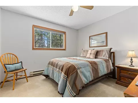 963 Vigilante Ave, Bailey, CO 80421 photo 22