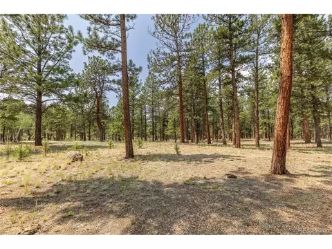 963 Vigilante Ave, Bailey, CO 80421 photo 40