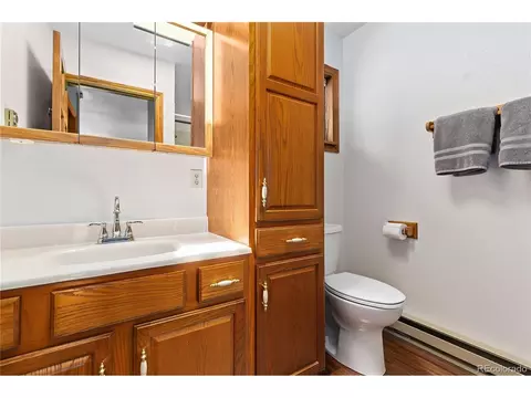 963 Vigilante Ave, Bailey, CO 80421 photo 25