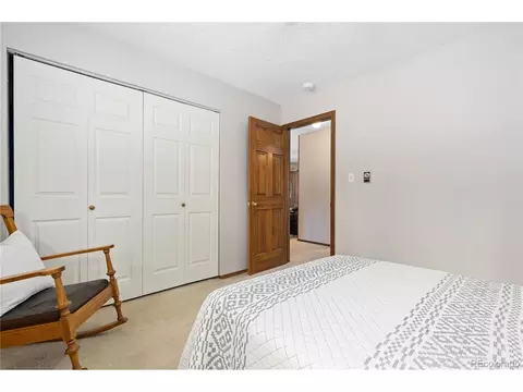 963 Vigilante Ave, Bailey, CO 80421 photo 21