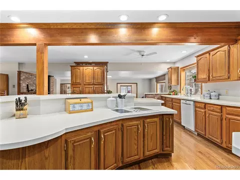 963 Vigilante Ave, Bailey, CO 80421 photo 9