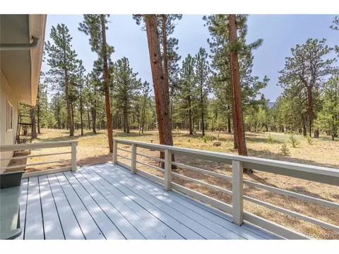 963 Vigilante Ave, Bailey, CO 80421 photo 29