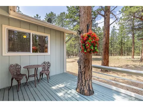 963 Vigilante Ave, Bailey, CO 80421 photo 13
