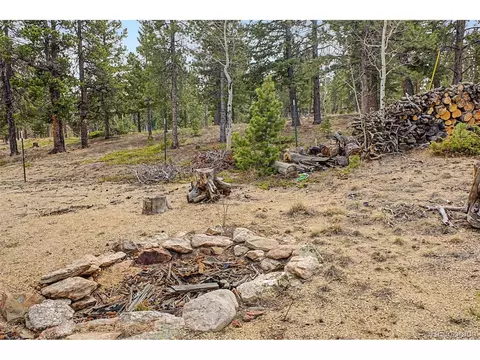 Exterior - 76 Highlands Dr, Bailey, CO 80421 photo 7 of 12