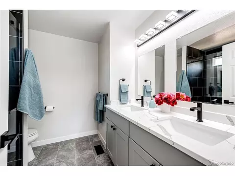 4054 Malta St, Denver, CO 80249 photo 25